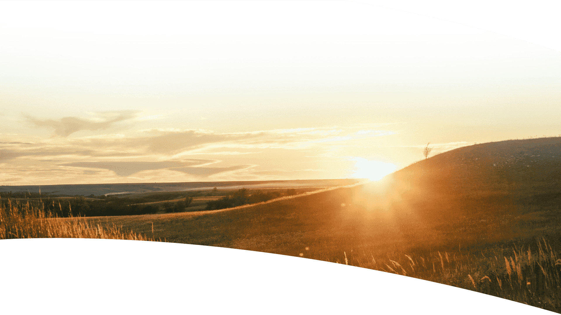 Saline County Calendar Image