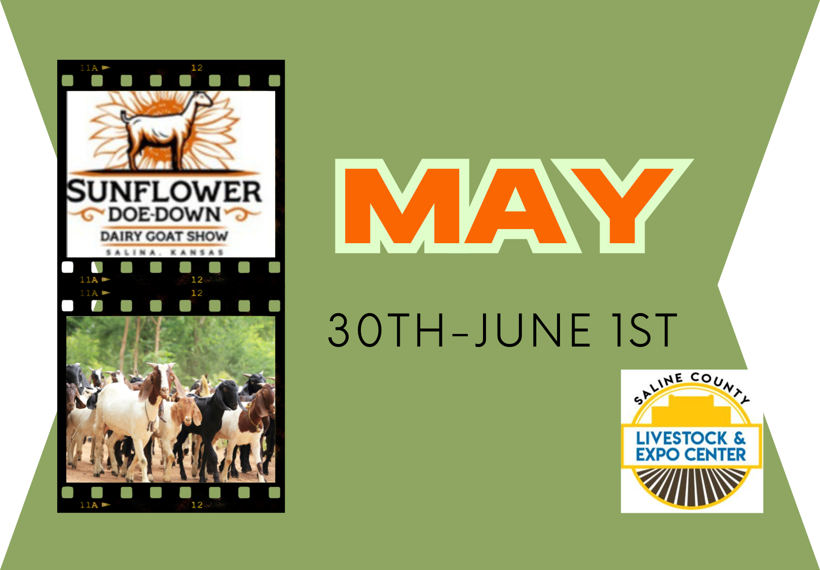 News Image Sunflower Doe Down coming to the Expo May 30th through June 1st