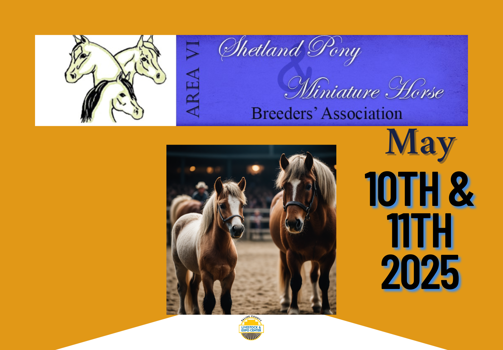 News Image Mini Horses and Shetland Pony show coming to the expo in May. Make plans to attend and support these organization. 
