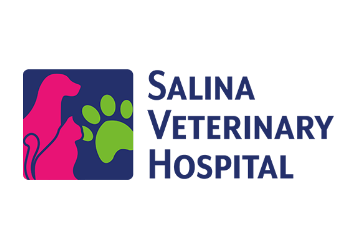 Saline County Client Logo Image